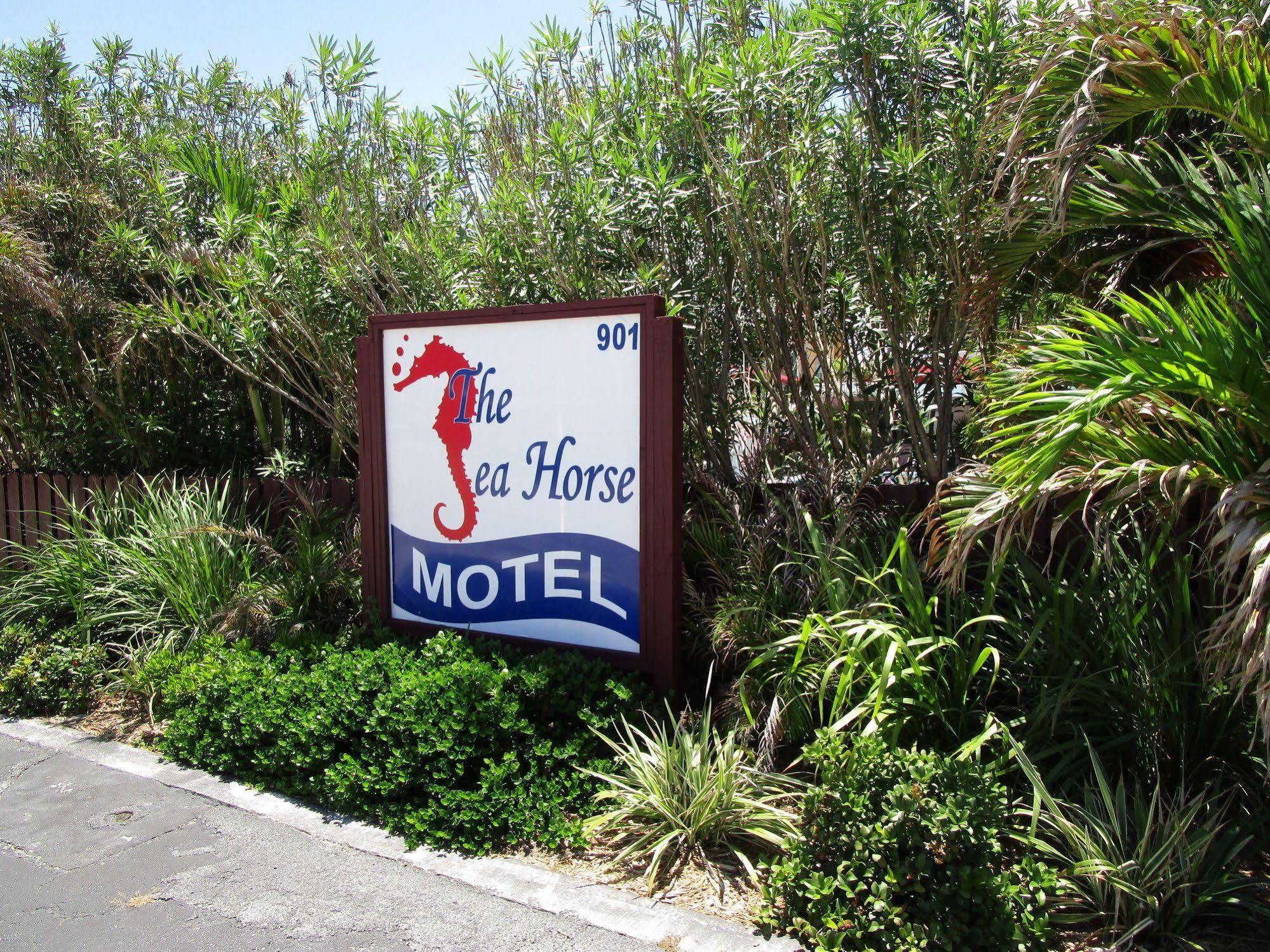Seahorse Guesthouse ポンパノビーチ エクステリア 写真