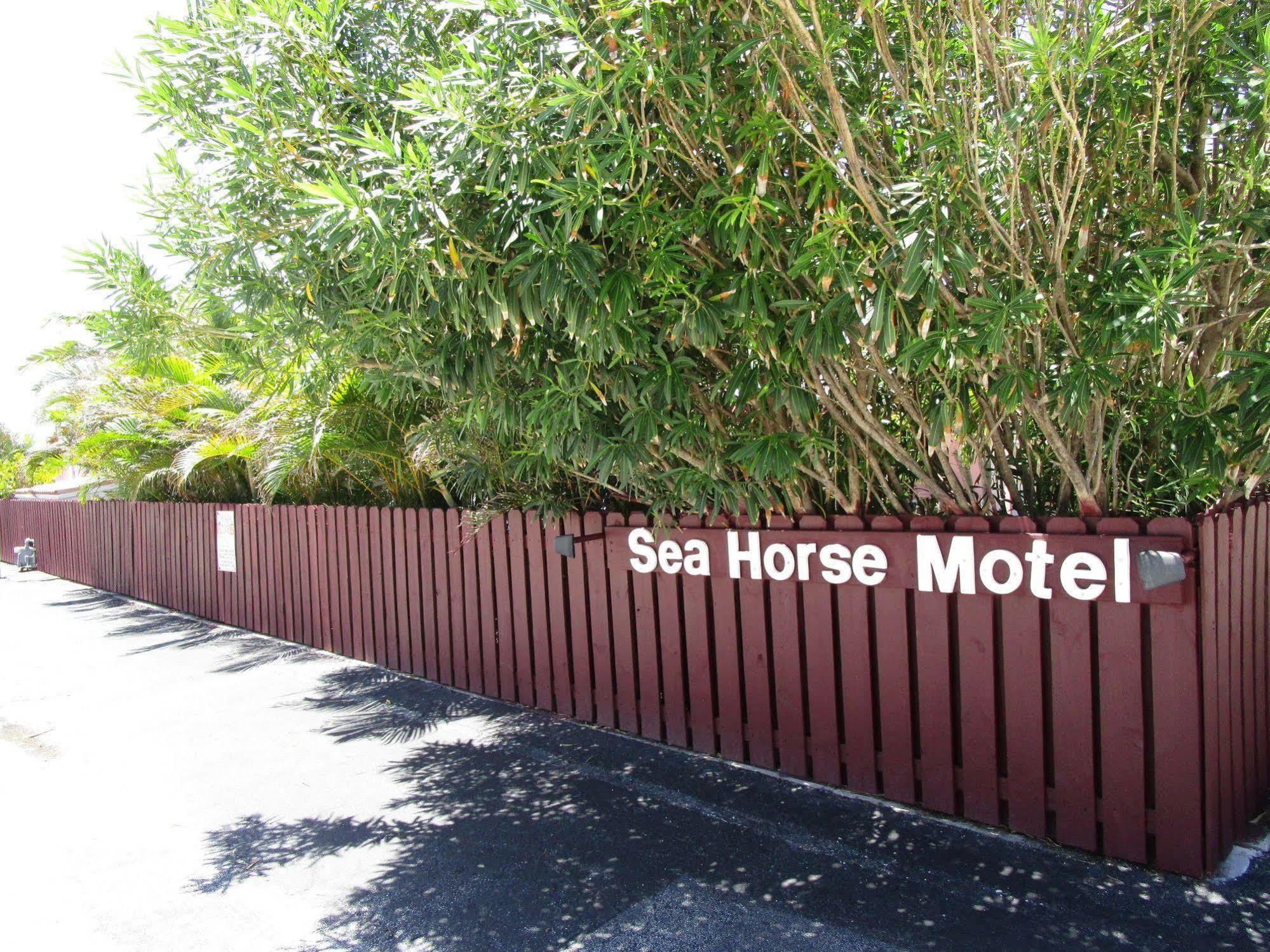 Seahorse Guesthouse ポンパノビーチ エクステリア 写真
